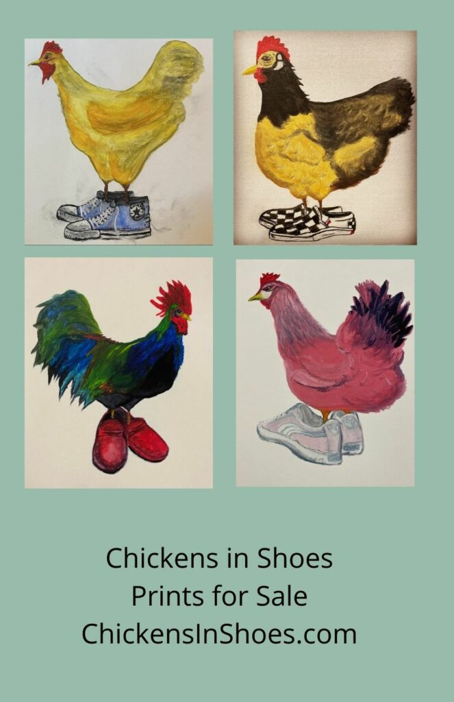 chickens in shoes
