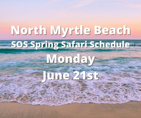 Tag: ocean drive - North Myrtle Beach | Explore NMB