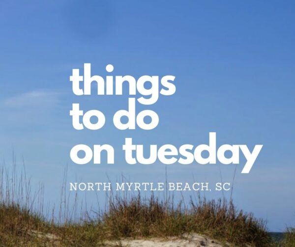 tuesday at nmb