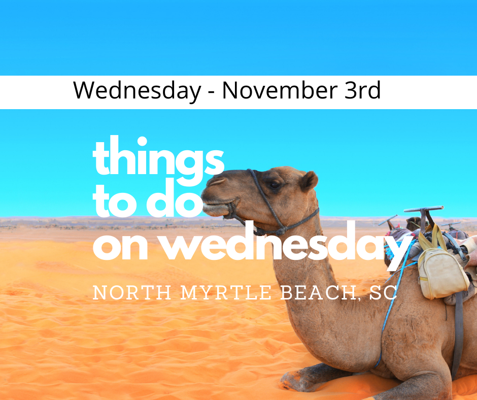 wednesday in nmb