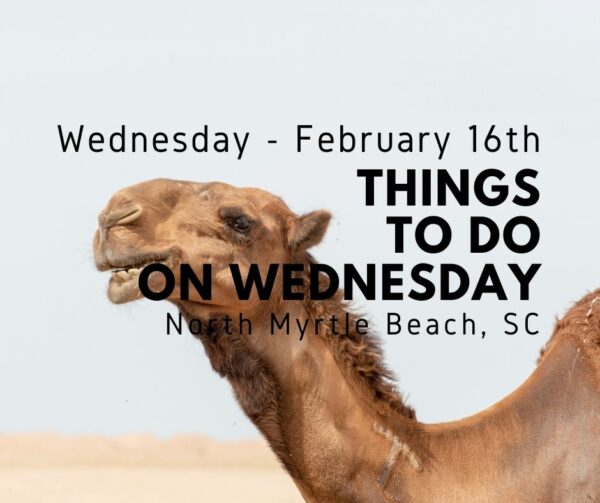 wednesday